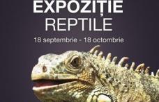 Expoziție de reptile vii la Uvertura Mall