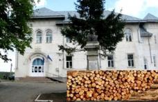 Liceul Teoretic „Anastasie Bașotă” organizează licitație de vânzare masă lemnoasă fasonată, specia gorun
