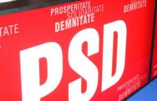 Peste 8000 de membrii PSD votează duminică liderul naţional de partid