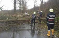 20 situaţii de urgenţă generate de vânt şi inundaţii în județul Botoșani
