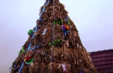 Vine din Moldova şi e cel mai neobișnuit brad de Crăciun: 100% tradiţional
