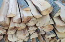 Material lemnos confiscat de polițiști la Vorona