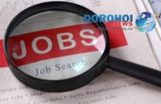 Peste o mie de locuri de muncă oferite de angenti economici pentru judetul Botoșani în această săptămână