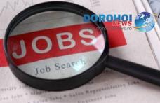 880 locuri de muncă puse la dispoziție de agenți economici în județul Botoșani în această săptămână