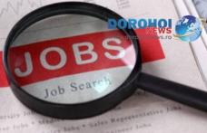 877 locuri de muncă vacante în județul Botoșani în această săptămână