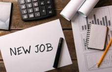 583 locuri de muncă angajate prin AJOFM Botoșani în primele două luni ale anului 2021