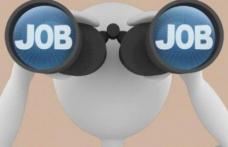 AJOFM Botoșani: 111 locuri de muncă disponibile în această săptămână