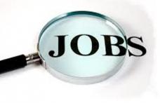 AJOFM Botoșani: 126 locuri de muncă disponibile în această săptămână