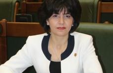 Senatorul Doina Federovici: Voluntariatul va fi recunoscut ca experiență profesională