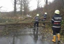 20 situaţii de urgenţă generate de vânt şi inundaţii în județul Botoșani