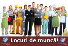 Ofertă AJOFM Botoșani: 1742 locuri de muncă disponibile. Vezi lista completă!