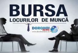 AJOFM Botoșani organizează „Bursa generală a locurilor de muncă” la Dorohoi