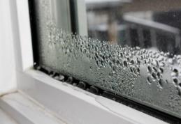Umiditatea aerului din locuinţă: ce boli provoacă şi cum o poţi combate