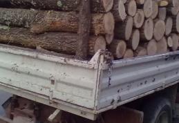 Material lemnos confiscat de polițiști la Mihăileni