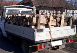 Bărbat sancționat cu 2.000 de lei pentru nerespectarea prevederilor legale privind transportul materialului lemnos