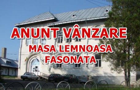 ANUNȚ! Liceul Teoretic „Anastasie Bașotă” Pomârla organizează licitației pentru vînzare masă lemnoasă fasonată la drum auto