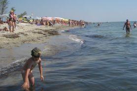Plajele din Mamaia şi Constanţa sunt invadate de alge urât mirositoare 