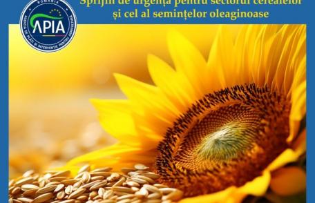 APIA: Sprijinul de urgență pentru sectorul cerealelor și cel al semințelor oleaginoase – termen limită de depunere cereri – 26 octombrie 2023