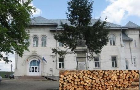 Liceul Teoretic „Anastasie Bașotă” organizează licitație de vînzare masă lemnoasă fasonată, specia gorun