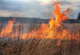 Lan de grâu incendiat de un fumător neglijent