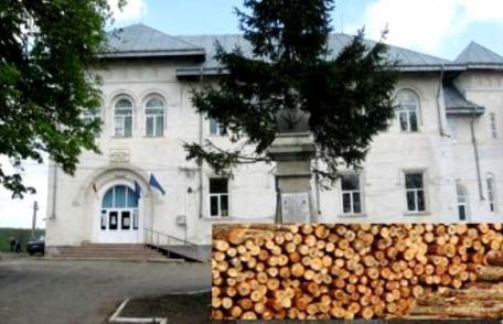 Liceul Teoretic „Anastasie Bașotă” organizează licitație de vânzare masă lemnoasă fasonată, specia gorun