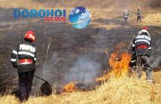 Zeci de pompieri militari și voluntari mobilizați pentru stingerea unor incendii de vegetație