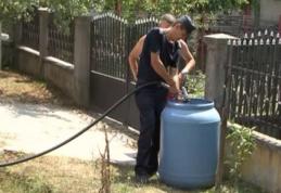 ISU Botoșani: 50 de tone de apă menajeră pentru animalele botoşănenilor 
