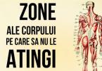 zone_ale_corpului