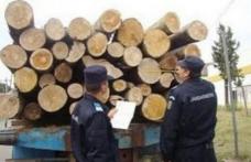 Peste 850 mc de material lemnos recuperat de jandarmi în urma acțiunilor desfășurate în cursul lunii august