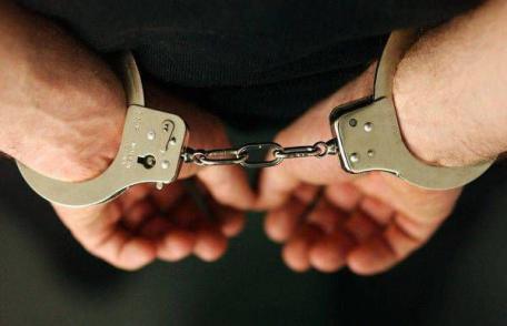 Tânăr de 19 ani din Dorohoi reținut pentru 30 de zile pentru mai multe infracțiuni de furt