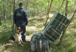 Ţigări de contrabandă de peste 48.000 de lei confiscate la frontiera de est - FOTO