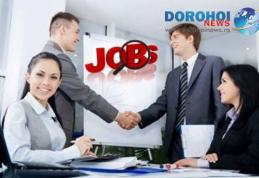 Eures România oferă 2420 locuri de muncă vacante în Spaţiul Economic European