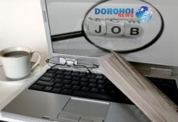 AJOFM anunță locurile de muncă disponibile în această săptămână în județul Botoșani