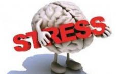 Ce organe sunt afectate cel mai puternic de stres