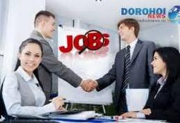 AJOFM Botoșani anunță ce locuri de muncă sunt disponibile în această săptămână