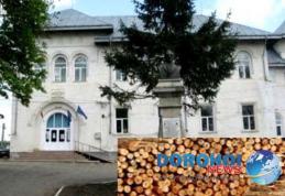 Liceul Teoretic „Anastasie Bașotă” Pomîrla organizează licitație pentru vînzare masă lemnoasă fasonată