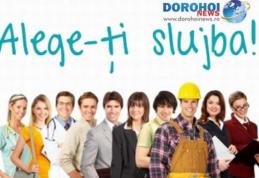 AJOFM Botoșani anunță locurile de muncă disponibile în această săptămână