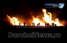 Flăcări uriașe luni noapte lângă municipiul Dorohoi! Aproximativ 30 de hectare distruse într-un incendiu! VIDEO/FOTO