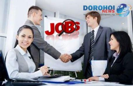 AJOFM Botoșani: Vezi ce locuri de muncă sunt disponibile în această săptămână!
