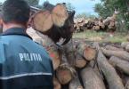 material-lemnos-confiscat-de-politisti