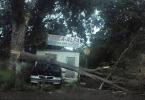 Masina avariara de un copac in Botosani