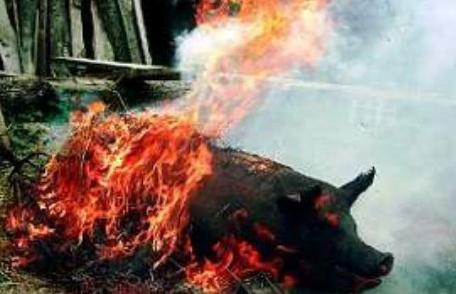 Furaje incendiate în timp ce pârlea porcul