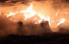 30 de tone de furaje distruse într-un incendiu, la Dimăcheni