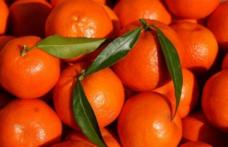 Secretul clementinelor din supermarketuri. Ce sunt de fapt!