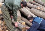 material lemnos furat