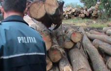 Acțiuni ale polițiștilor botoșăneni pentru combaterea ilegalităților din domeniul silvic!