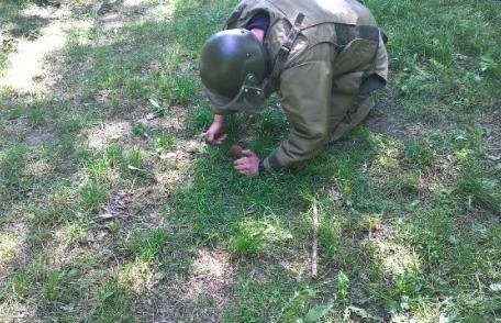 Grenadă găsită în pădurea Baisa - FOTO
