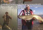 campanie de informare pescuit (5)