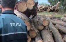 Material lemnos fără documente legale, confiscat de poliţiştii botoșăneni
