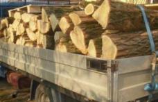 Amendă de 3 mii lei și 2,51 metri cubi de material lemnos confiscat